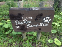 キャンプｉｎ長野Ⅰwith dog