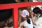キャンプｉｎ静岡Ⅸ
