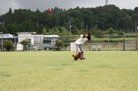 キャンプｉｎ静岡１７　with dog