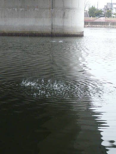 釣りの風景（27）