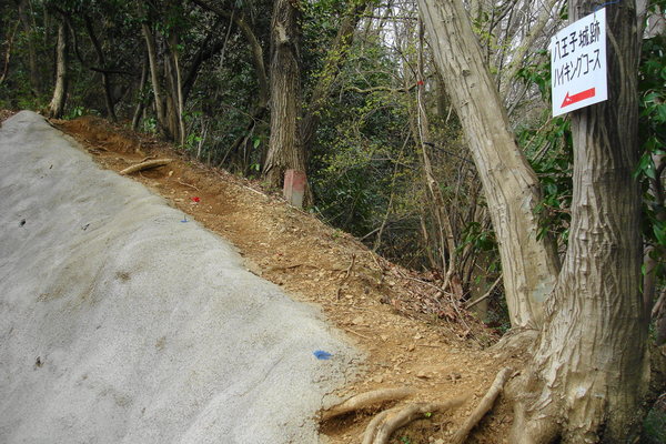 のんびり高尾山