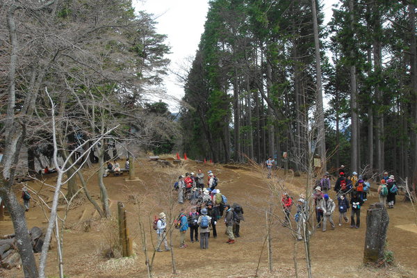 のんびり高尾山