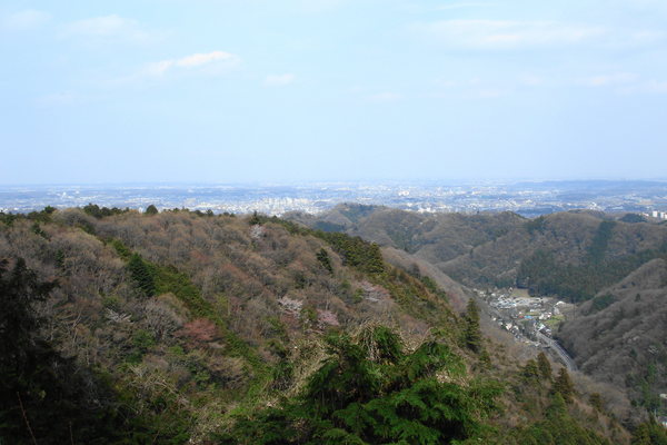 のんびり高尾山