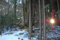 snow trekking ～ 伊豆ヶ岳