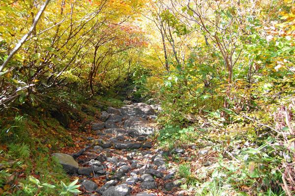 厳剛新道から谷川岳～西黒尾根下降