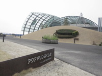 春休みなので♪ 2013/04/07 11:15:58