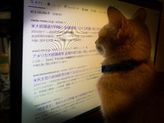 11月3日火曜日 2020/11/01 20:50:25