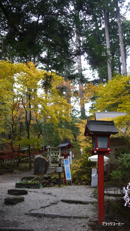 2013年11月9日10日　日光修学旅行リベンジ