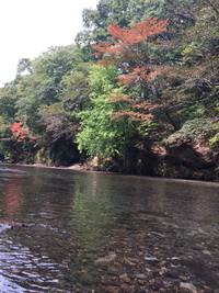 芋煮会　10/10 2015/10/11 12:11:55