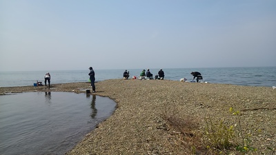 初・小鮎釣りin琵琶湖