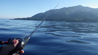 大晦日　２０１５年釣行記