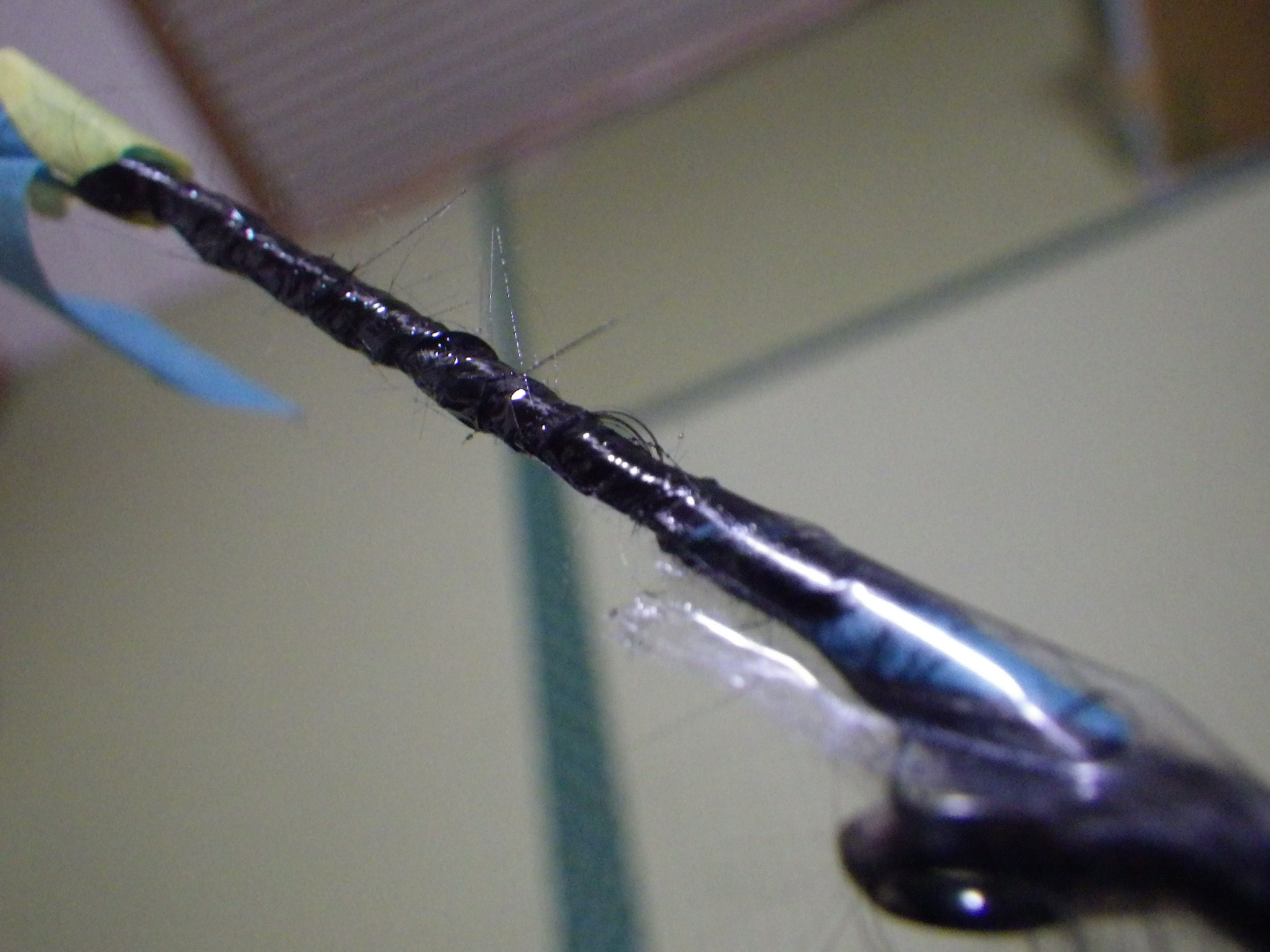 ViOLENTEの修理②の巻