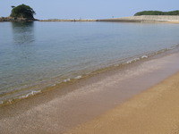 2014鹿家のキャンプは？その4 2014/04/20 23:03:11