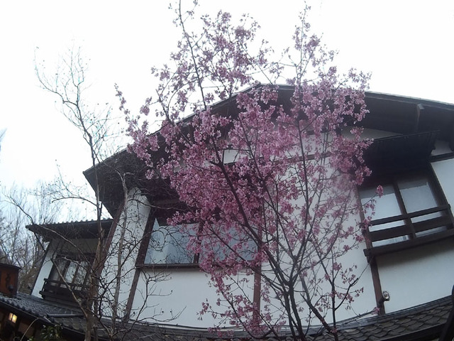 883Rで深大寺にとつげきー♪ヾ(ﾟ∀ﾟ)ﾉﾄﾞｰﾝ