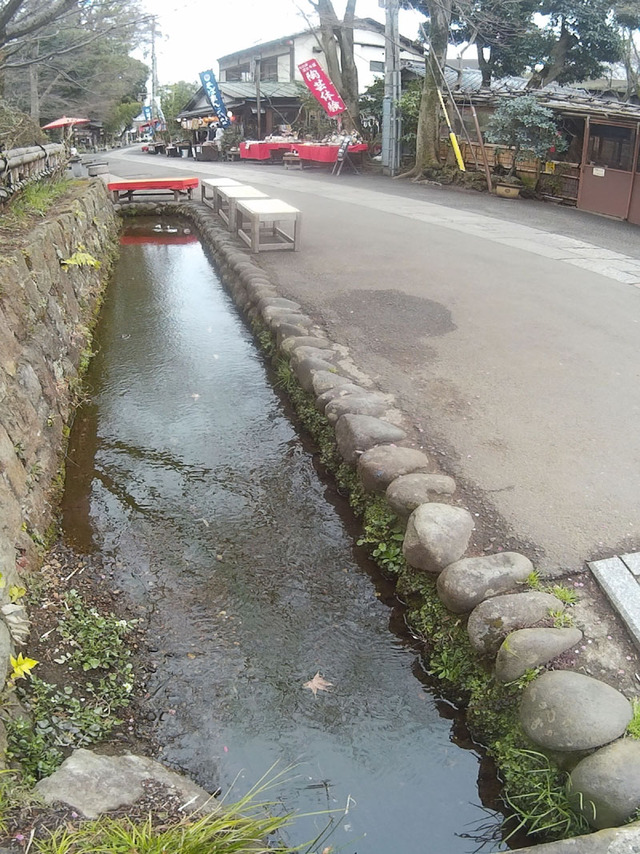 883Rで深大寺にとつげきー♪ヾ(ﾟ∀ﾟ)ﾉﾄﾞｰﾝ