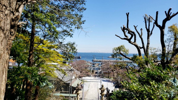 久々に、あの人に会いに初めての横須賀！