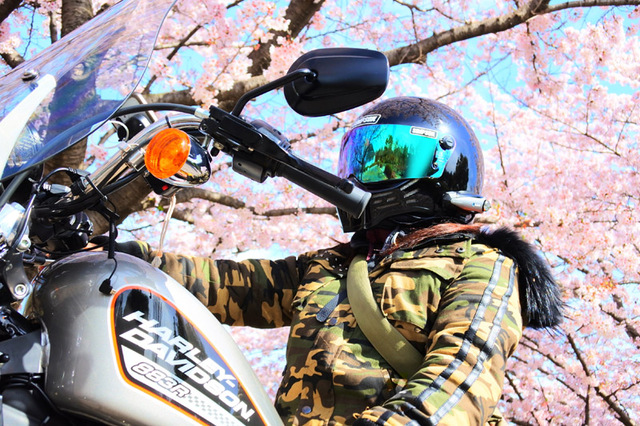 (*´∀｀*)桜ｽｷｽｷ♪　ウインドシールドを付けてのお出かけ♪