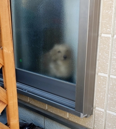 (・∀・)あ　すみません　取りに伺います。