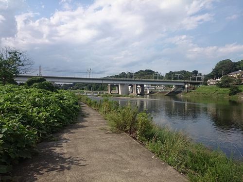 久しぶりの鯉釣り