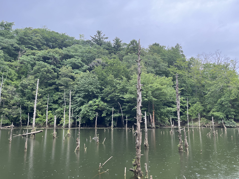 7.12 笹川湖