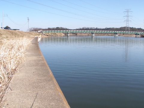 今日は暖かでしたね☀️