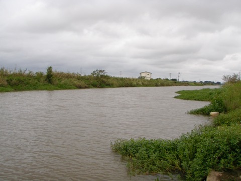 雨ときどき釣り