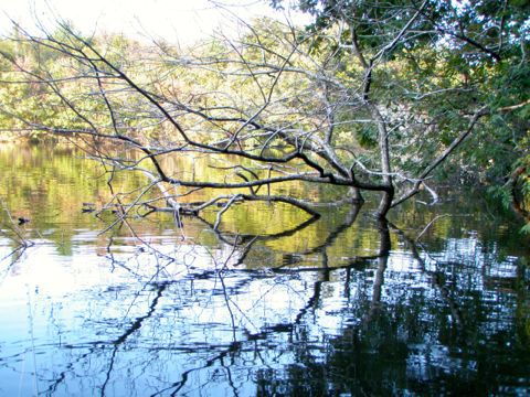 秋はリザーバーでしょ