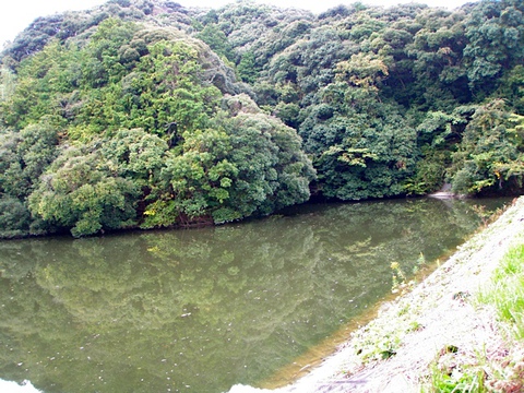 静岡野池釣行③