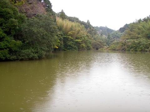 静岡野池釣行③