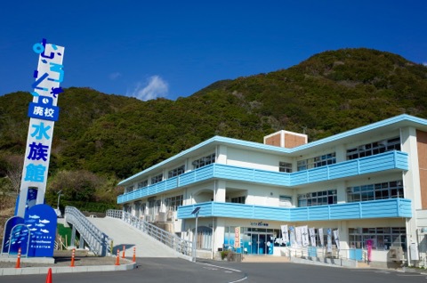 むろと廃校水族館