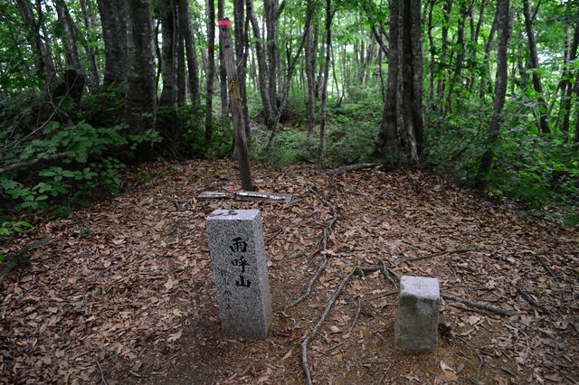 ジャガラモガラ経由　雨呼山