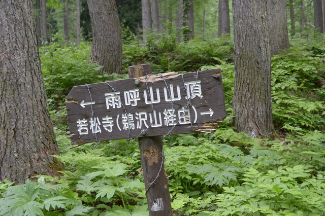 ジャガラモガラ経由　雨呼山