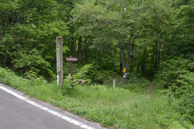 ジャガラモガラ経由　雨呼山