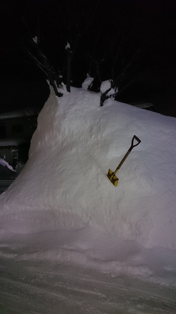 雨にも風にも負けず、豪雪に屈するのか・・・