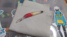 サンク釣行準備