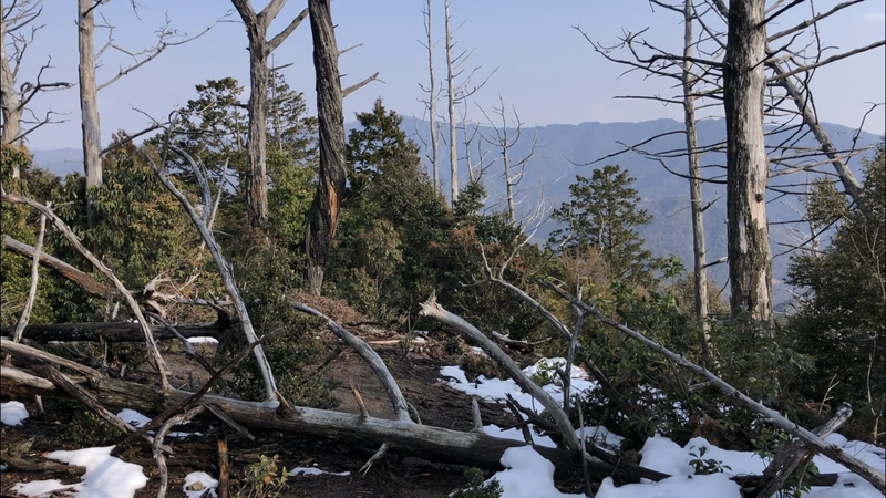 雪残る里山登山でミリタリーギアと珈琲焙煎とバームクーヘンと