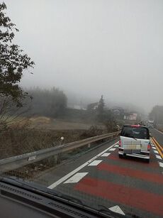 人力バイクで