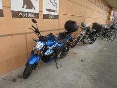 最悪な天気