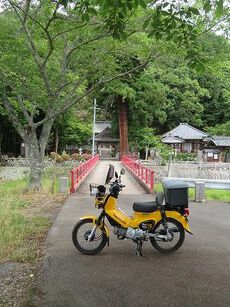 犬飼林道へ 2022/06/05 16:32:08