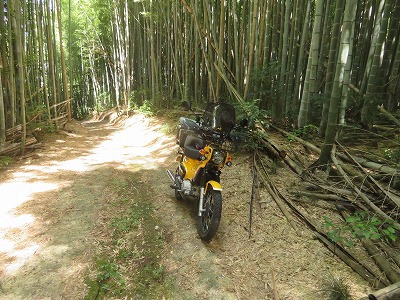 現車確認と近所偵察