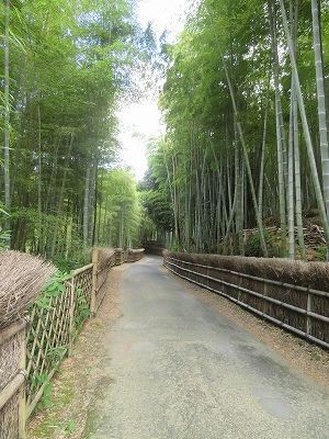 現車確認と近所偵察