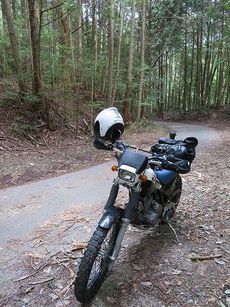 シェルパでお散歩