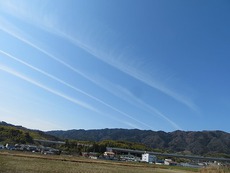 昨日は