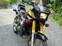 TDR250 ドナドナ準備