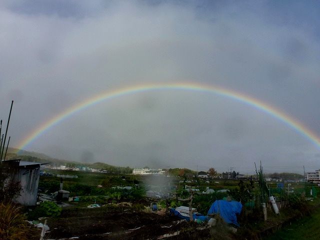 虹の架け橋