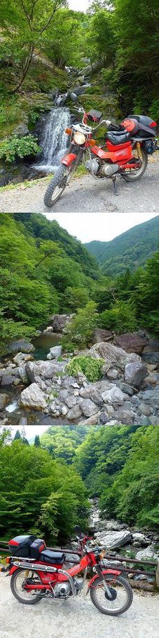 剣山スーパー林道　レポ２