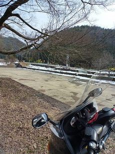 雪の日吉