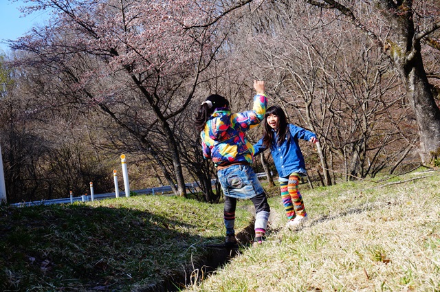 ＊＊三分咲き＊＊お花見キャンプ＊＊