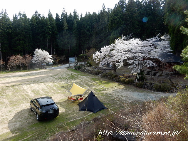 上の台?葉山?どちらのキャンプ場にする? 上の台?葉山?どちらのキャンプ場にする?