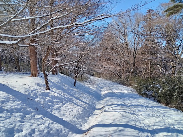 治祐ヶ森公園 治祐ヶ森公園